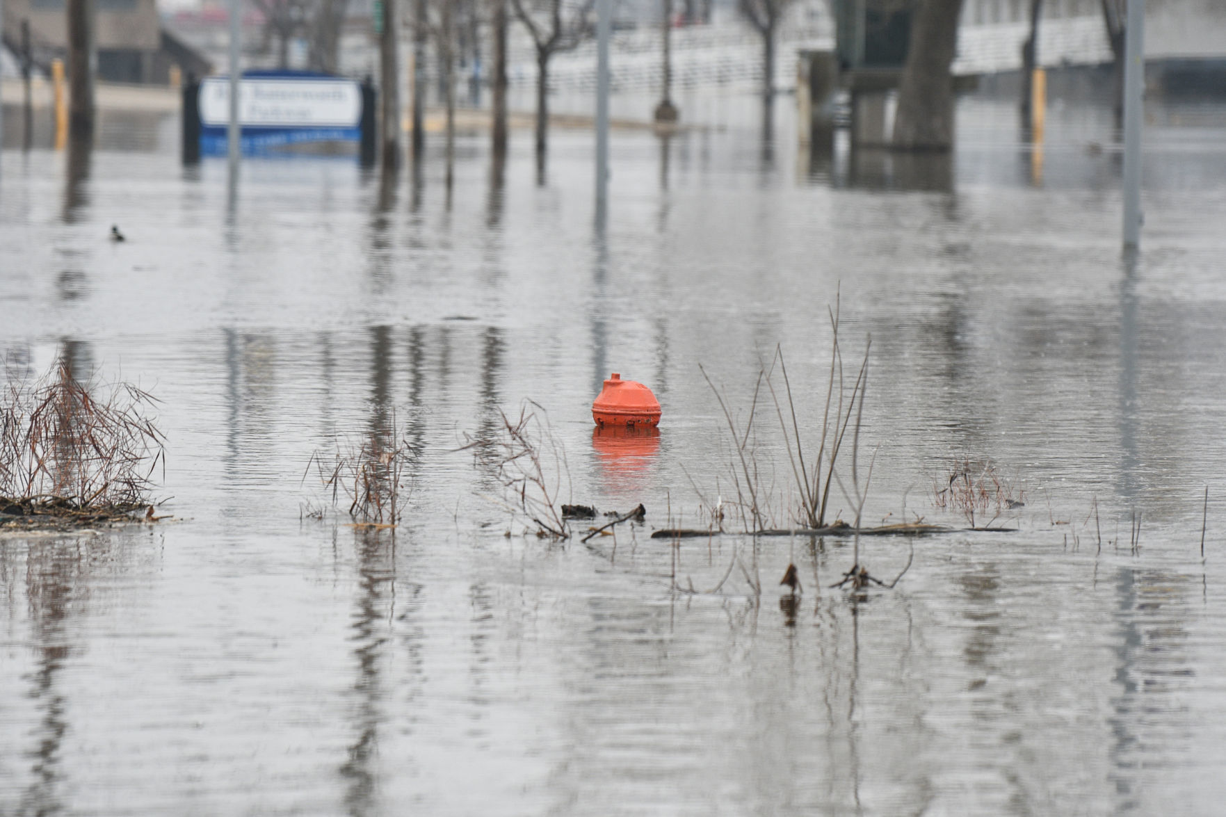 River Drive flooding in Moline